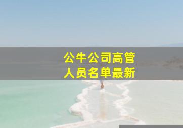 公牛公司高管人员名单最新