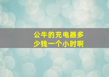 公牛的充电器多少钱一个小时啊