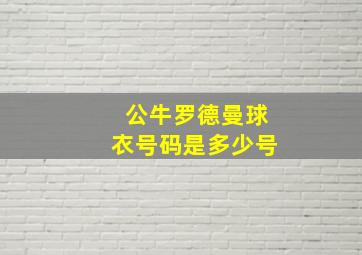 公牛罗德曼球衣号码是多少号