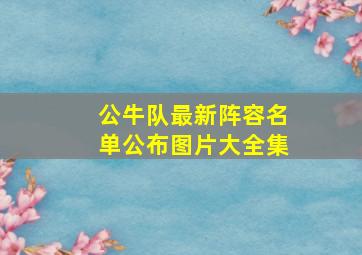 公牛队最新阵容名单公布图片大全集