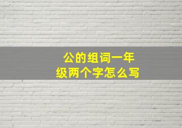 公的组词一年级两个字怎么写