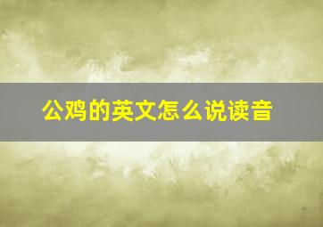 公鸡的英文怎么说读音