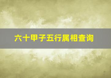 六十甲子五行属相查询