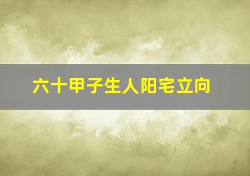 六十甲子生人阳宅立向