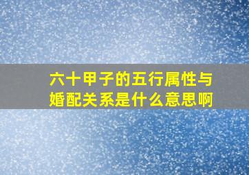 六十甲子的五行属性与婚配关系是什么意思啊