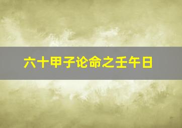 六十甲子论命之壬午日