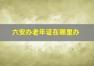 六安办老年证在哪里办