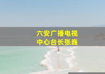 六安广播电视中心台长张巍