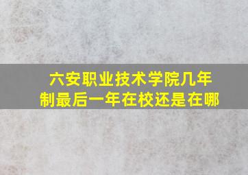 六安职业技术学院几年制最后一年在校还是在哪