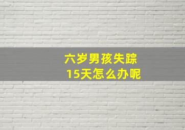 六岁男孩失踪15天怎么办呢