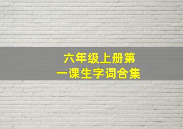 六年级上册第一课生字词合集