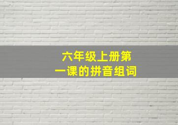 六年级上册第一课的拼音组词