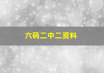 六码二中二资料