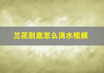 兰花到底怎么浇水视频