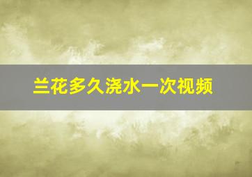 兰花多久浇水一次视频