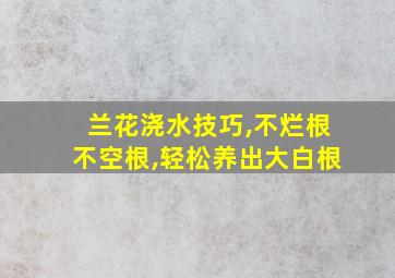 兰花浇水技巧,不烂根不空根,轻松养出大白根