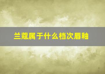 兰蔻属于什么档次唇釉