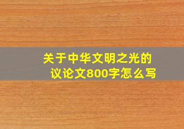 关于中华文明之光的议论文800字怎么写