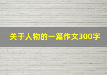 关于人物的一篇作文300字