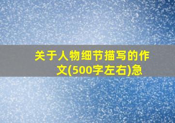 关于人物细节描写的作文(500字左右)急