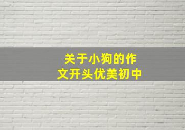 关于小狗的作文开头优美初中