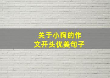 关于小狗的作文开头优美句子