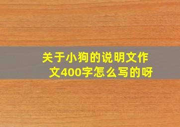 关于小狗的说明文作文400字怎么写的呀