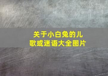 关于小白兔的儿歌或迷语大全图片