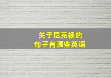 关于尼克杨的句子有哪些英语