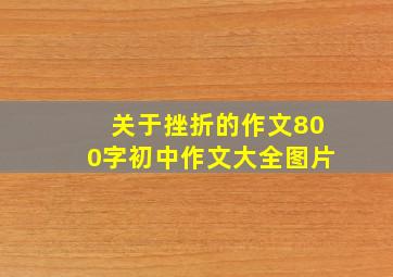 关于挫折的作文800字初中作文大全图片