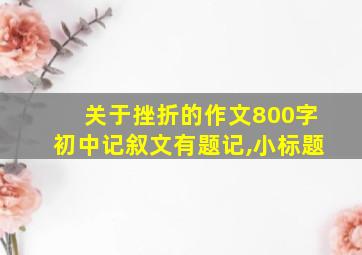 关于挫折的作文800字初中记叙文有题记,小标题