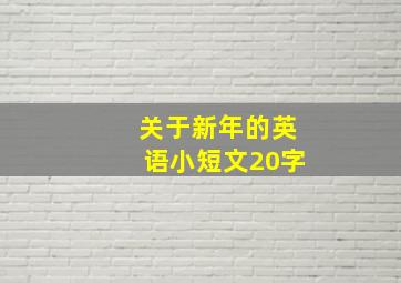 关于新年的英语小短文20字