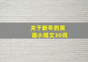 关于新年的英语小短文30词