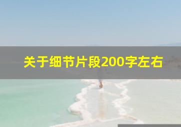 关于细节片段200字左右