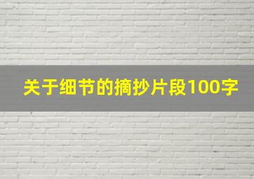 关于细节的摘抄片段100字