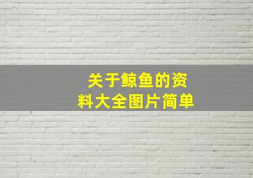 关于鲸鱼的资料大全图片简单