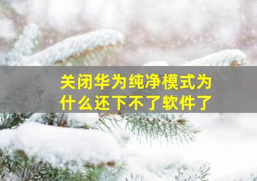 关闭华为纯净模式为什么还下不了软件了