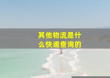 其他物流是什么快递查询的