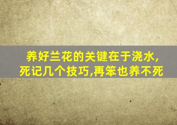 养好兰花的关键在于浇水,死记几个技巧,再笨也养不死