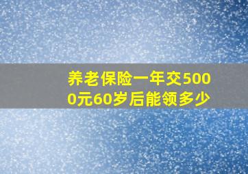 养老保险一年交5000元60岁后能领多少