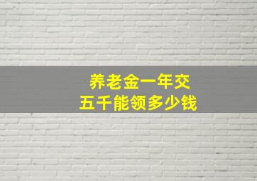 养老金一年交五千能领多少钱