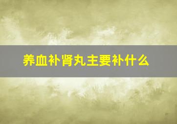 养血补肾丸主要补什么