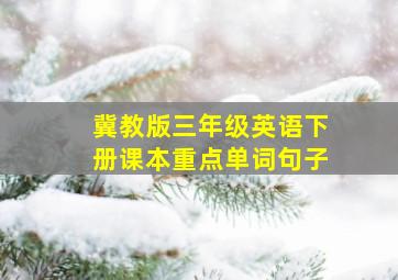 冀教版三年级英语下册课本重点单词句子