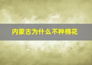 内蒙古为什么不种棉花