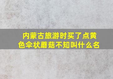 内蒙古旅游时买了点黄色伞状蘑菇不知叫什么名