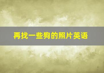 再找一些狗的照片英语