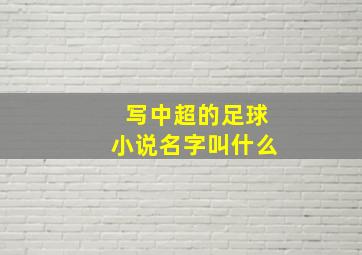 写中超的足球小说名字叫什么