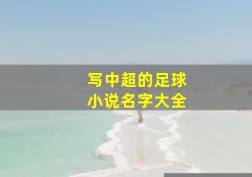 写中超的足球小说名字大全