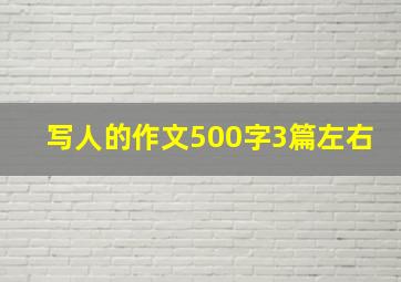 写人的作文500字3篇左右