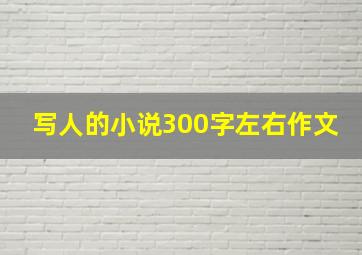 写人的小说300字左右作文